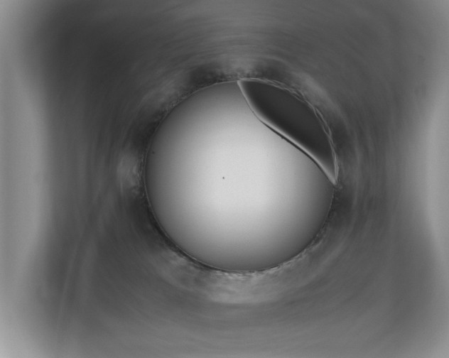 X0000110690037200906191516