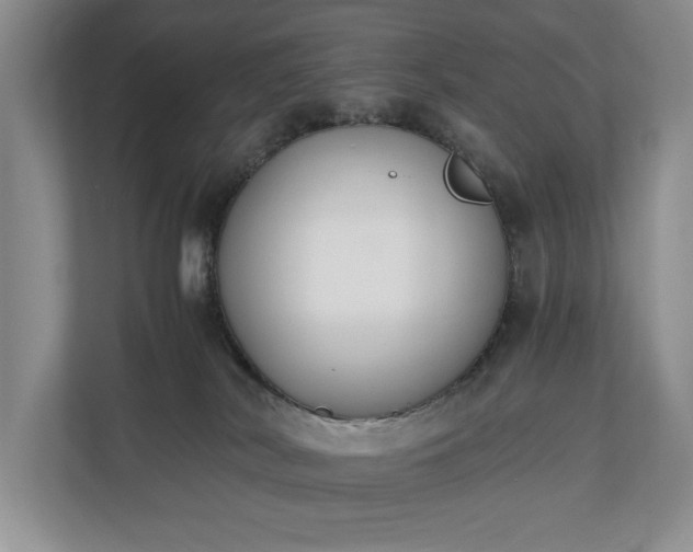 X0000110690038200906191516