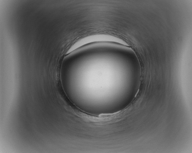 X0000110690039200906191516