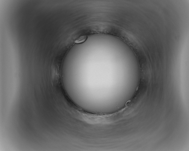 X0000110690040200906191516