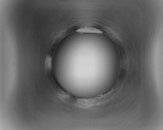 X0000110690041200906191516