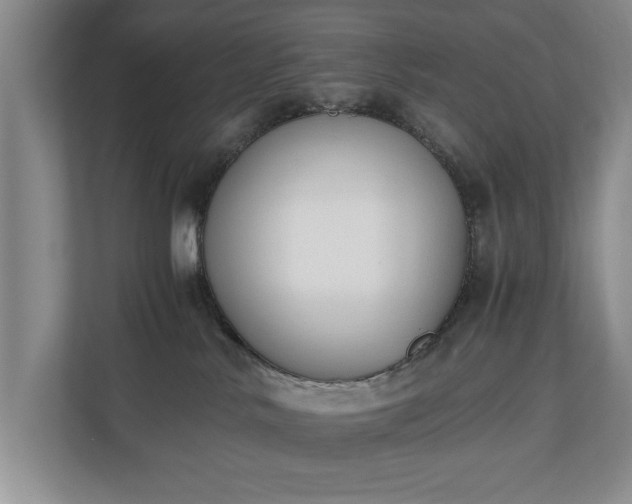 X0000110690042200906191516