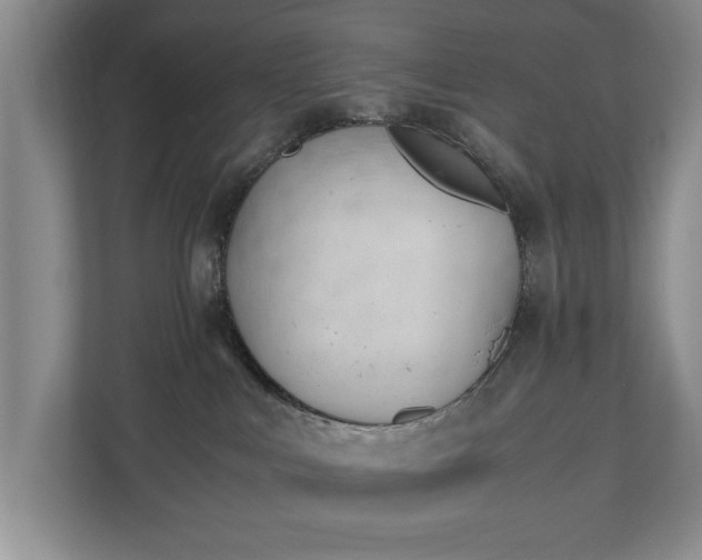 X0000110690043200906191516