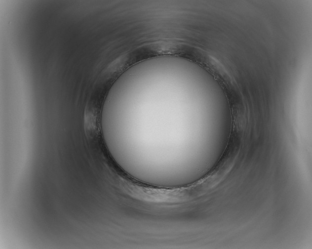 X0000110690044200906191516