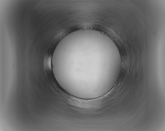 X0000110690047200906191516