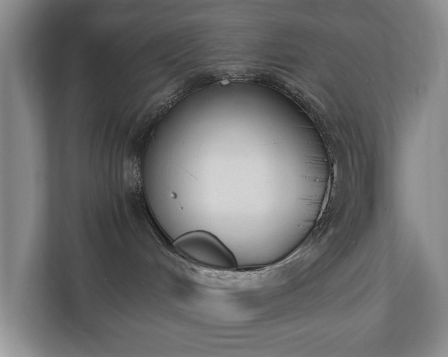 X0000110690048200906191516