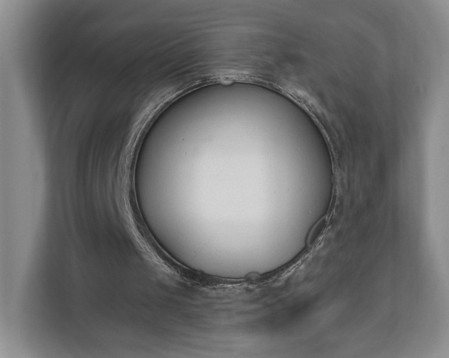 X0000110690049200906191515