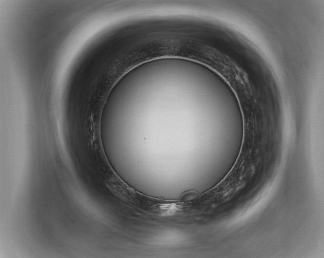 X0000110690050200906191515