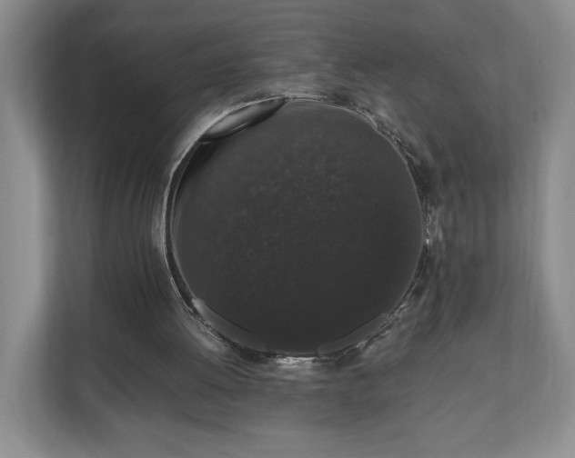 X0000110690052200906191515