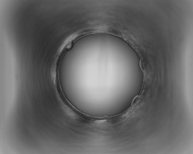 X0000110690054200906191515