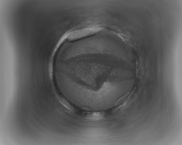 X0000110690056200906191515