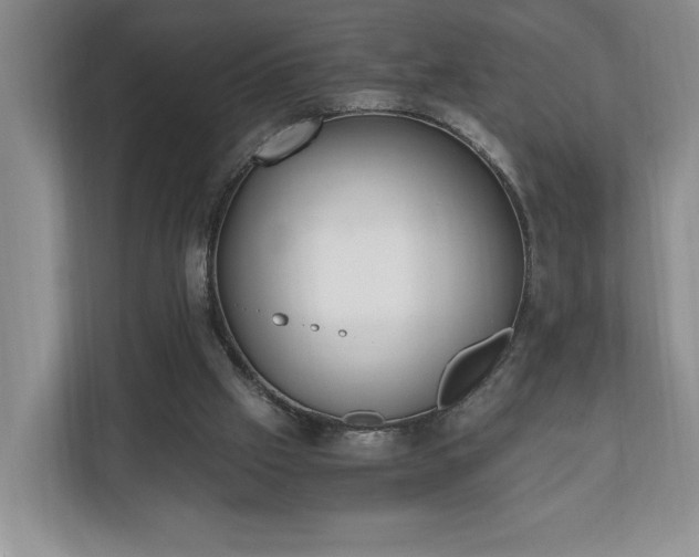 X0000110690057200906191515