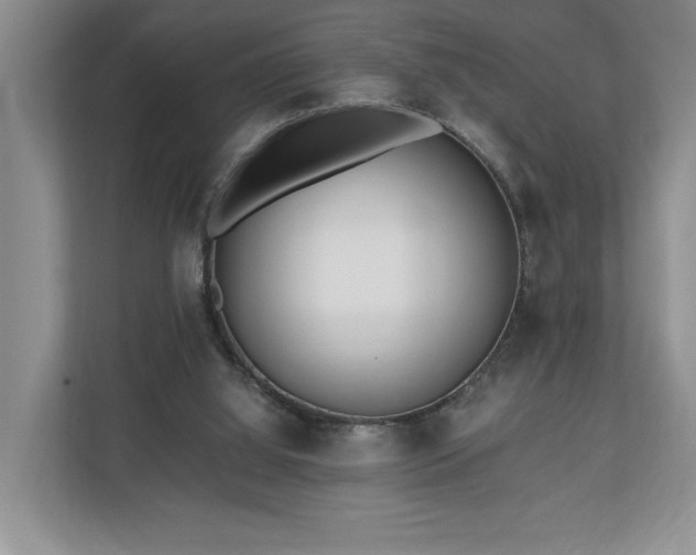 X0000110690060200906191515