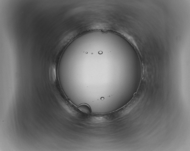 X0000110690061200906191515