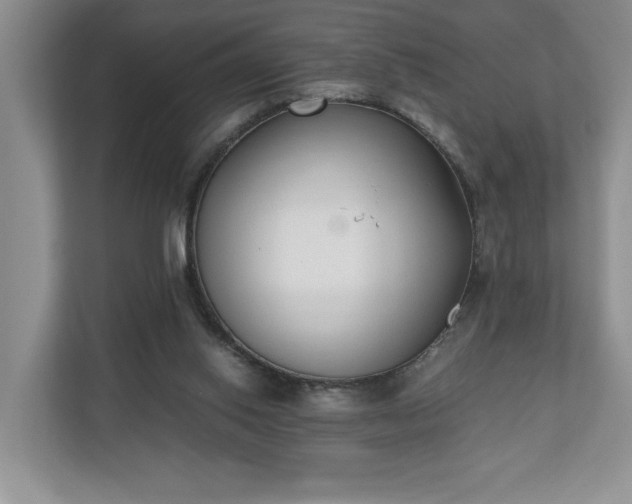 X0000110690062200906191515