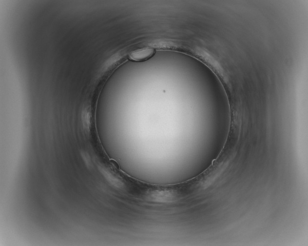 X0000110690063200906191515