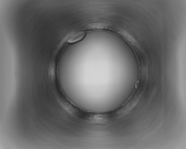 X0000110690064200906191515