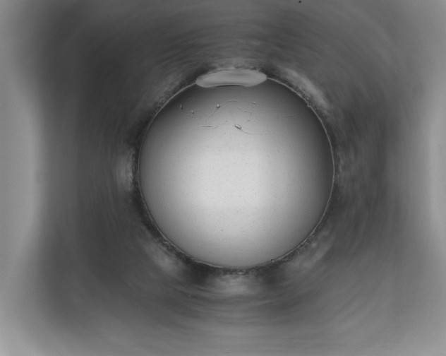 X0000110690065200906191516