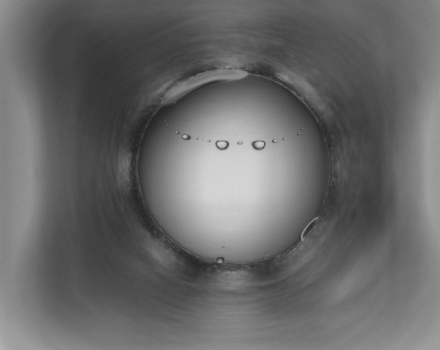 X0000110690066200906191516