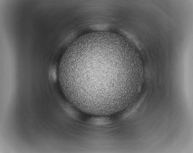 X0000110690069200906191516