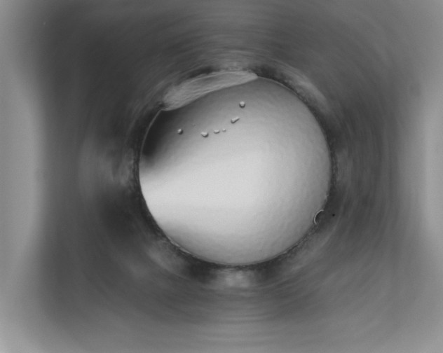 X0000110690073200906191516