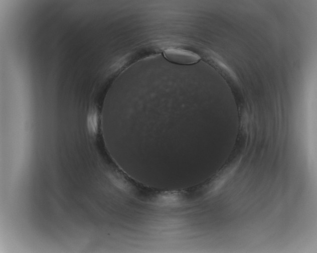 X0000110690076200906191516