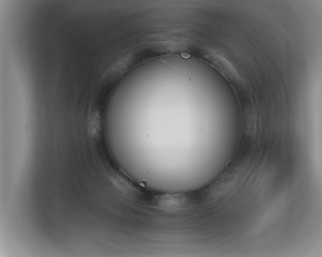 X0000110690077200906191516