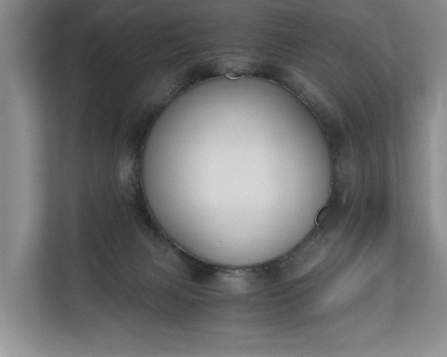 X0000110690079200906191516