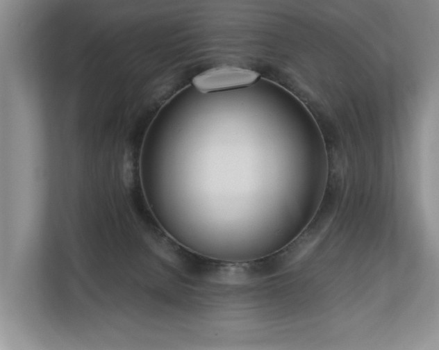 X0000110690080200906191516