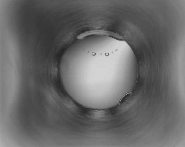 X0000110690085200906191516