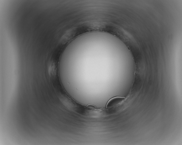 X0000110690086200906191516