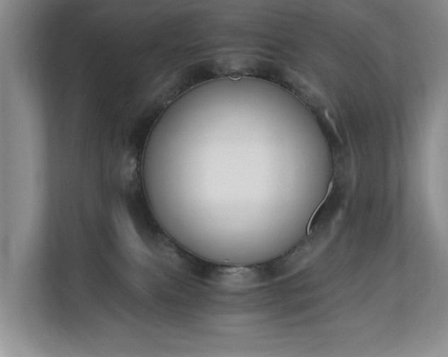 X0000110690087200906191516