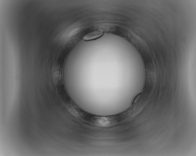 X0000110690091200906191516