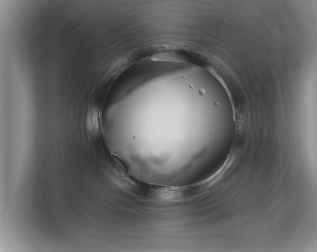 X0000110690094200906191516