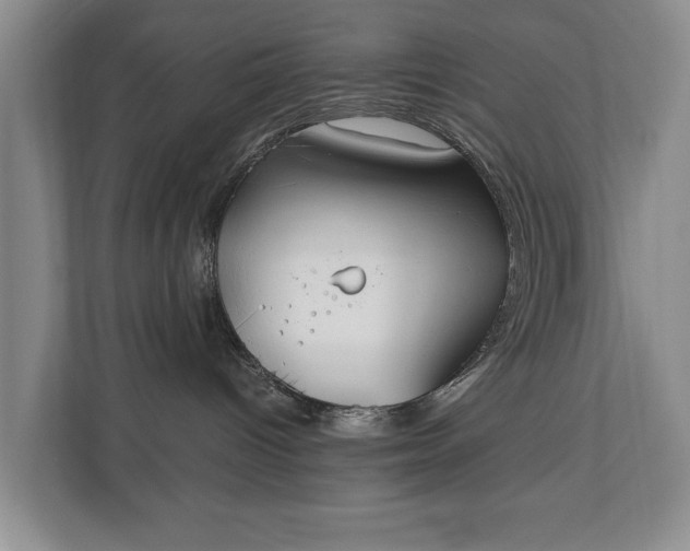 X0000110690096200906191516