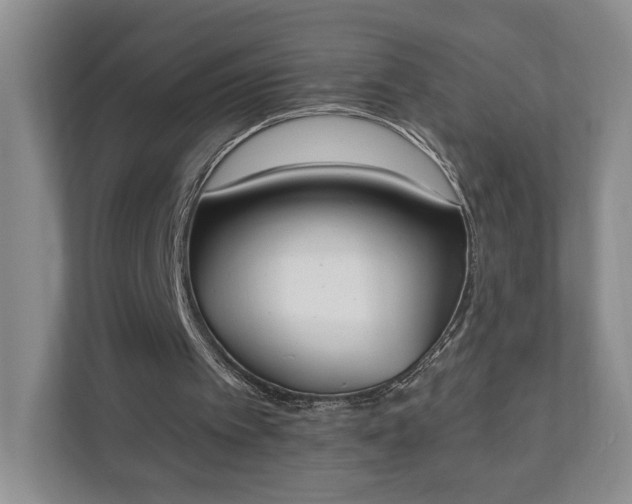 X0000110690097200906191515