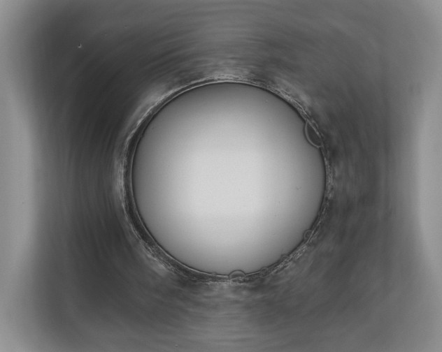 X0000110690098200906191515