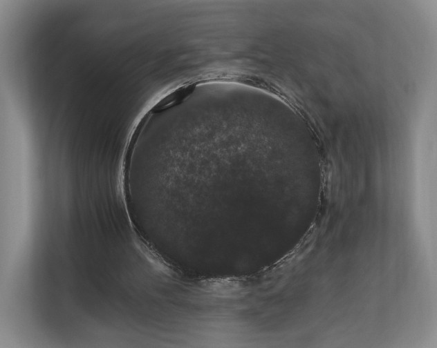 X0000110690100200906191515