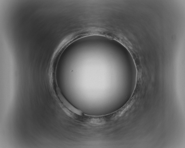 X0000110690101200906191515