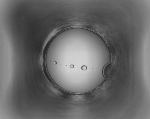 X0000110690102200906191515