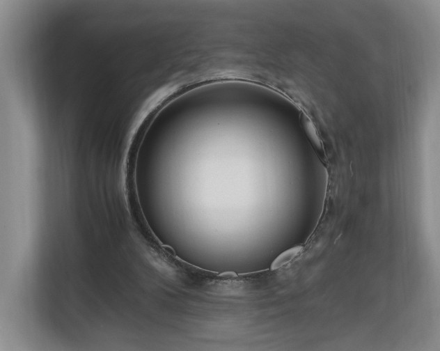 X0000110690104200906191515