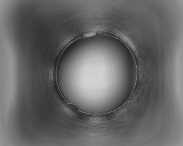 X0000110690105200906191515