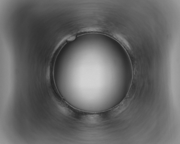 X0000110690108200906191515