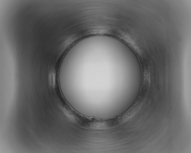 X0000110690110200906191515