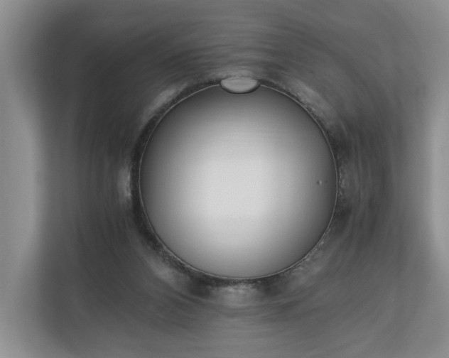 X0000110690112200906191515