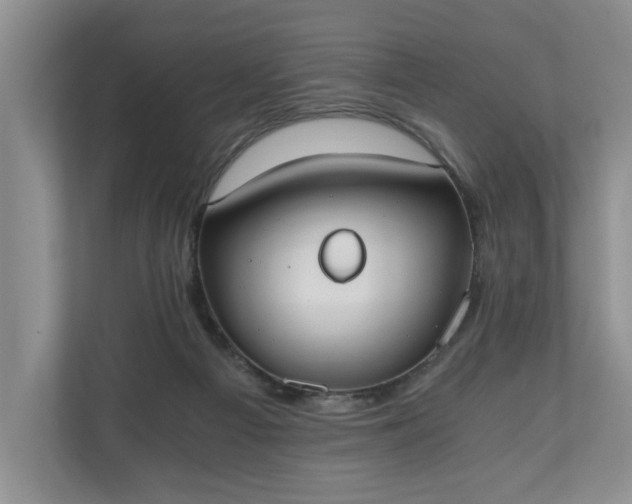 X0000110690121200906191515