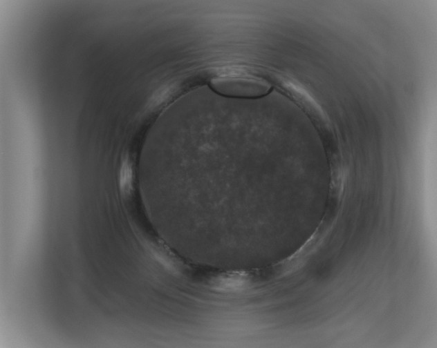 X0000110690124200906191515