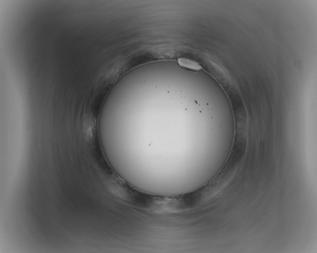 X0000110690125200906191515