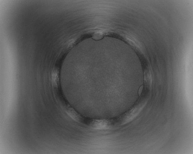 X0000110690127200906191515