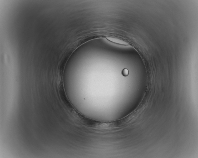 X0000110690129200906191515